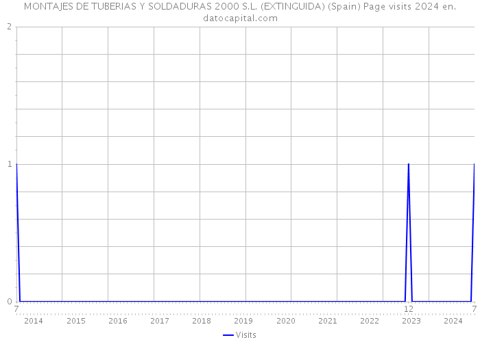 MONTAJES DE TUBERIAS Y SOLDADURAS 2000 S.L. (EXTINGUIDA) (Spain) Page visits 2024 