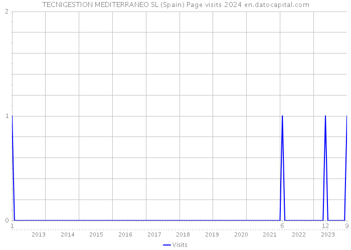 TECNIGESTION MEDITERRANEO SL (Spain) Page visits 2024 