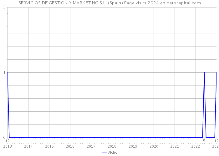 SERVICIOS DE GESTION Y MARKETING S.L. (Spain) Page visits 2024 