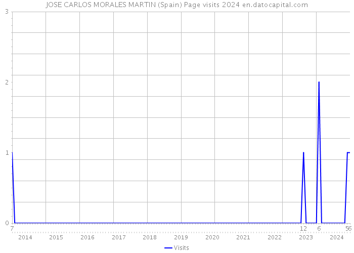 JOSE CARLOS MORALES MARTIN (Spain) Page visits 2024 