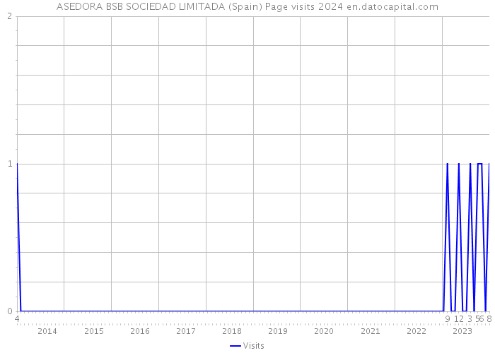 ASEDORA BSB SOCIEDAD LIMITADA (Spain) Page visits 2024 