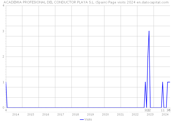 ACADEMIA PROFESIONAL DEL CONDUCTOR PLAYA S.L. (Spain) Page visits 2024 