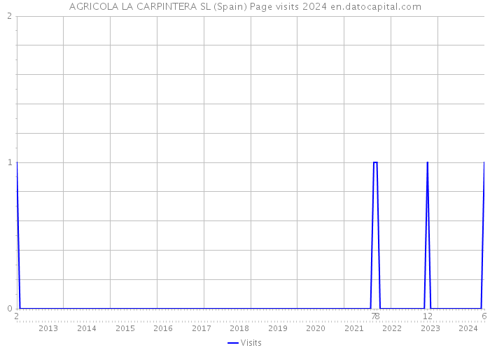AGRICOLA LA CARPINTERA SL (Spain) Page visits 2024 