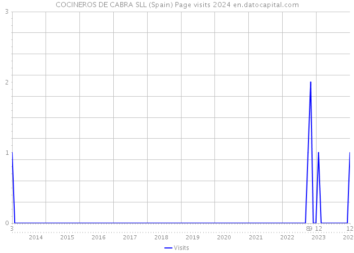 COCINEROS DE CABRA SLL (Spain) Page visits 2024 