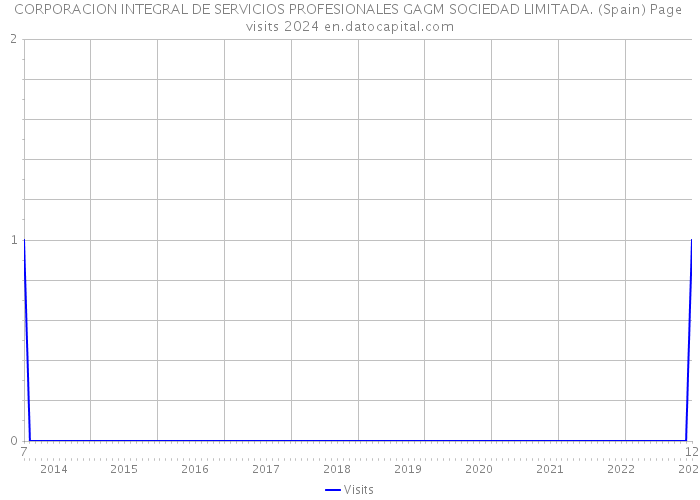 CORPORACION INTEGRAL DE SERVICIOS PROFESIONALES GAGM SOCIEDAD LIMITADA. (Spain) Page visits 2024 