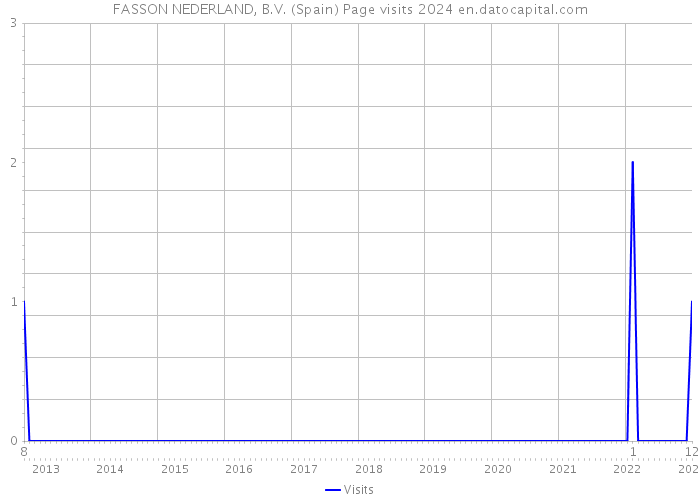 FASSON NEDERLAND, B.V. (Spain) Page visits 2024 