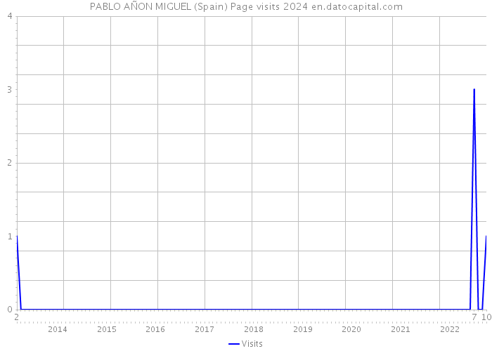 PABLO AÑON MIGUEL (Spain) Page visits 2024 