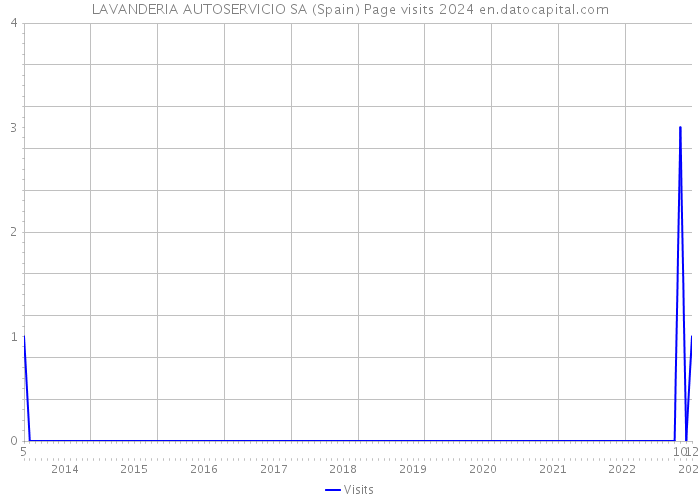 LAVANDERIA AUTOSERVICIO SA (Spain) Page visits 2024 