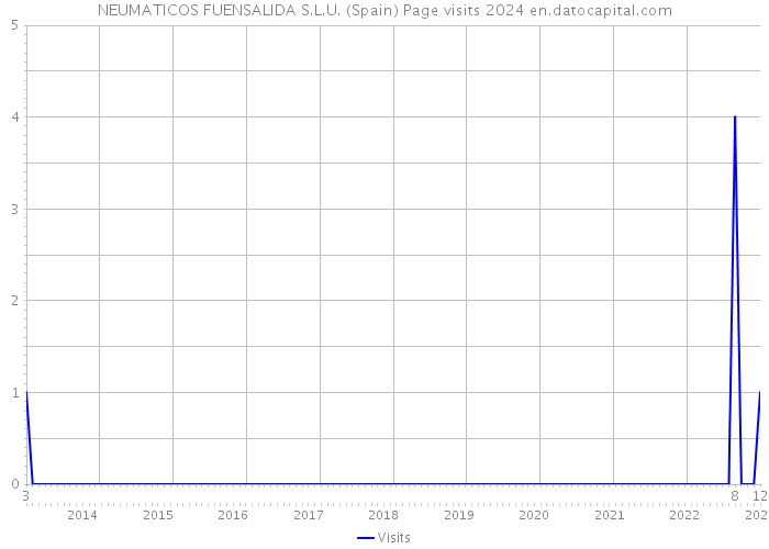 NEUMATICOS FUENSALIDA S.L.U. (Spain) Page visits 2024 