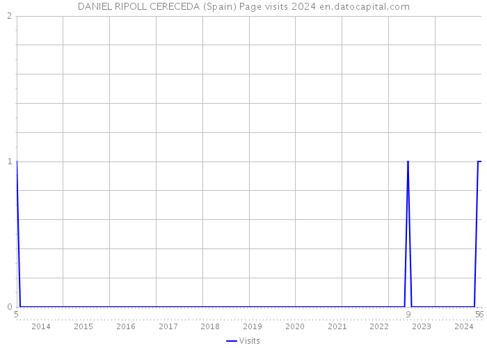 DANIEL RIPOLL CERECEDA (Spain) Page visits 2024 