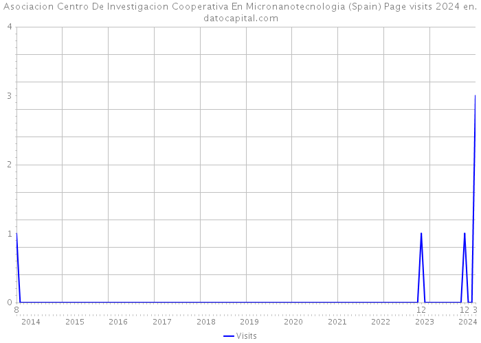 Asociacion Centro De Investigacion Cooperativa En Micronanotecnologia (Spain) Page visits 2024 