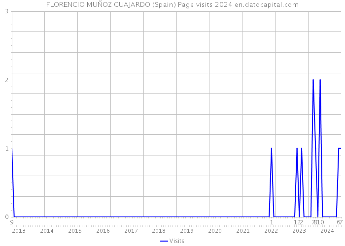 FLORENCIO MUÑOZ GUAJARDO (Spain) Page visits 2024 