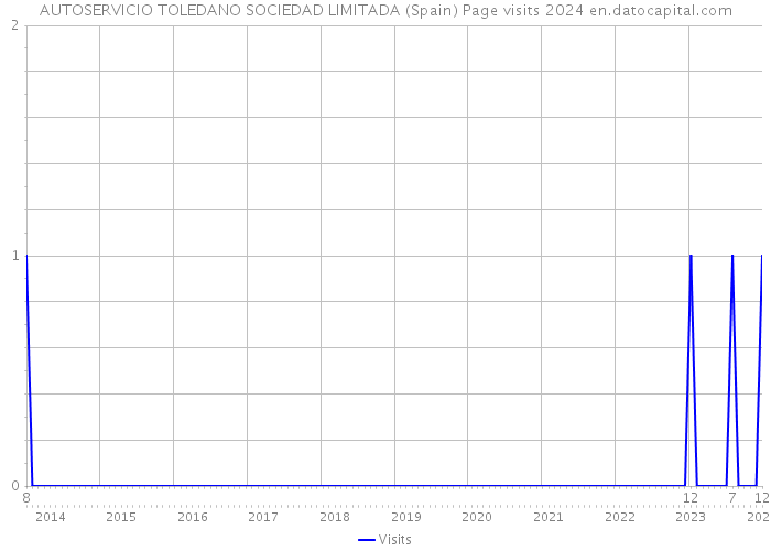 AUTOSERVICIO TOLEDANO SOCIEDAD LIMITADA (Spain) Page visits 2024 
