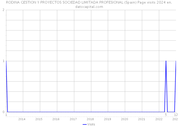 RODINA GESTION Y PROYECTOS SOCIEDAD LIMITADA PROFESIONAL (Spain) Page visits 2024 