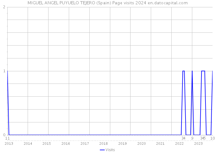 MIGUEL ANGEL PUYUELO TEJERO (Spain) Page visits 2024 
