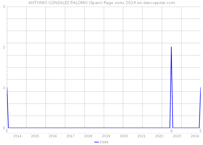 ANTONIO GONZALEZ PALOMO (Spain) Page visits 2024 