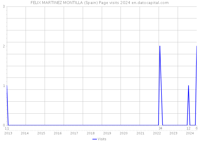 FELIX MARTINEZ MONTILLA (Spain) Page visits 2024 