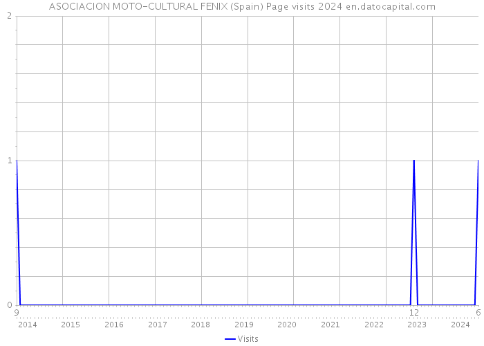 ASOCIACION MOTO-CULTURAL FENIX (Spain) Page visits 2024 