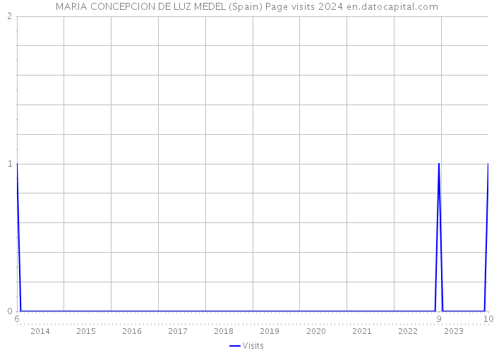 MARIA CONCEPCION DE LUZ MEDEL (Spain) Page visits 2024 