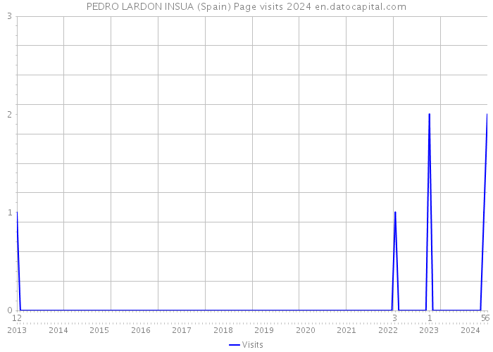 PEDRO LARDON INSUA (Spain) Page visits 2024 