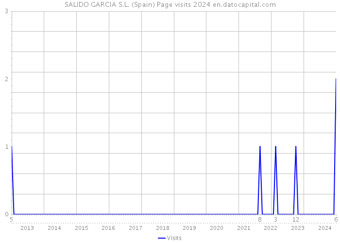 SALIDO GARCIA S.L. (Spain) Page visits 2024 