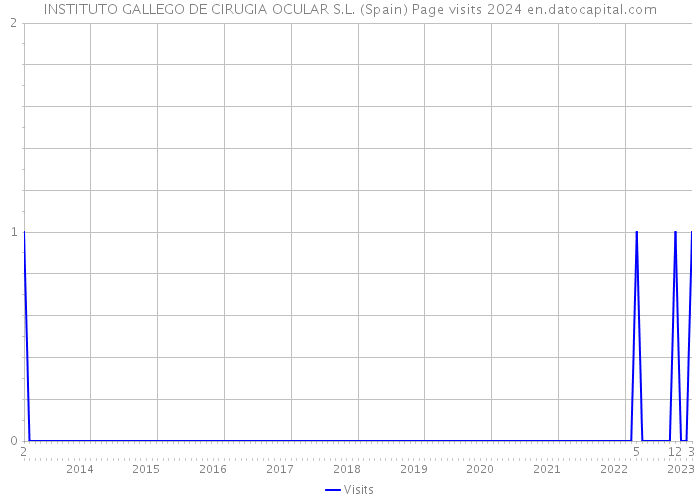 INSTITUTO GALLEGO DE CIRUGIA OCULAR S.L. (Spain) Page visits 2024 