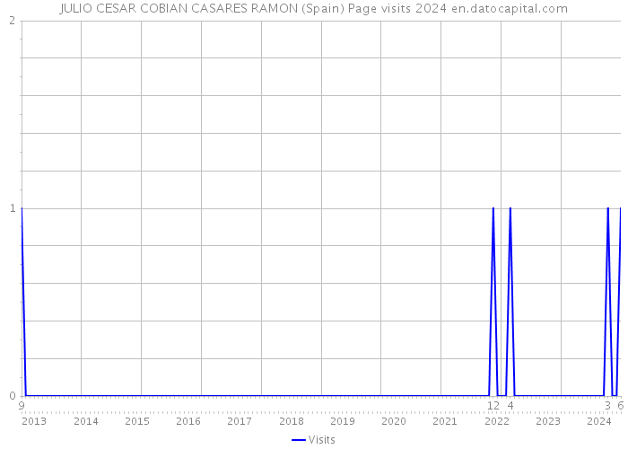 JULIO CESAR COBIAN CASARES RAMON (Spain) Page visits 2024 