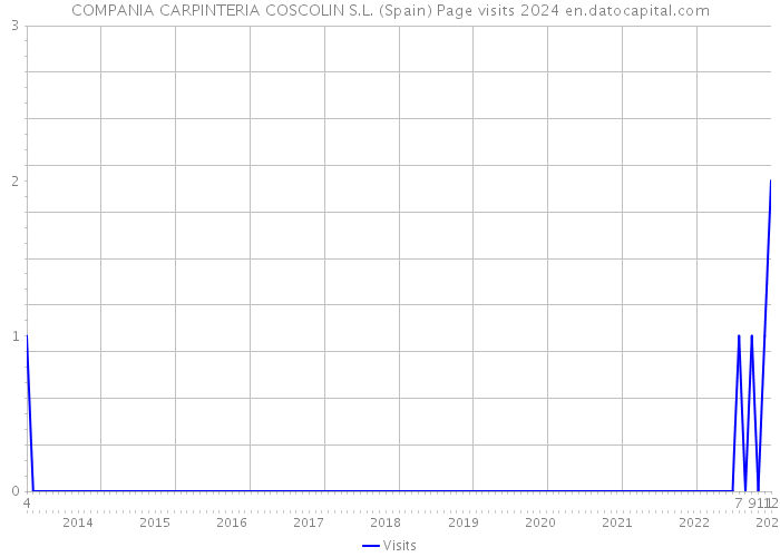 COMPANIA CARPINTERIA COSCOLIN S.L. (Spain) Page visits 2024 