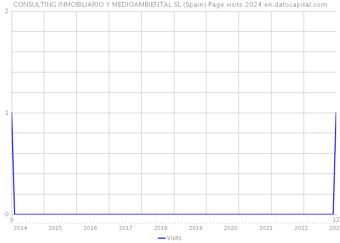 CONSULTING INMOBILIARIO Y MEDIOAMBIENTAL SL (Spain) Page visits 2024 