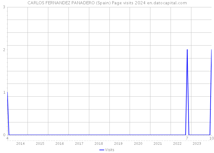 CARLOS FERNANDEZ PANADERO (Spain) Page visits 2024 