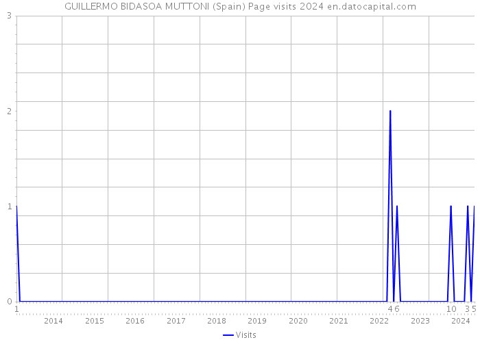 GUILLERMO BIDASOA MUTTONI (Spain) Page visits 2024 