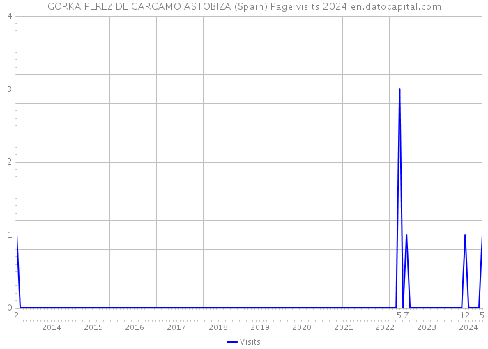 GORKA PEREZ DE CARCAMO ASTOBIZA (Spain) Page visits 2024 