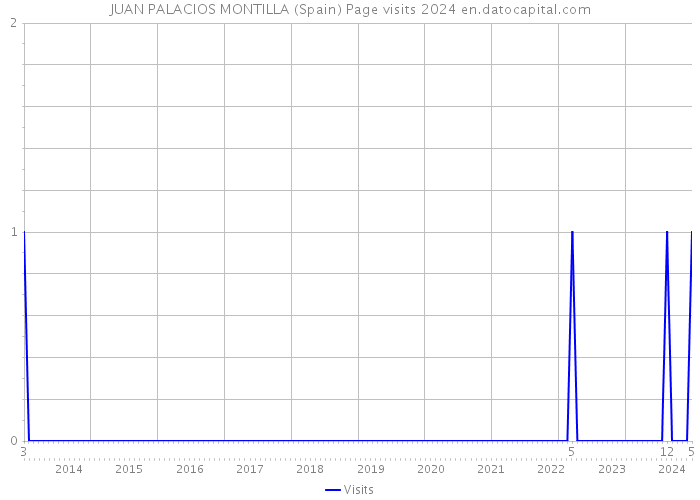 JUAN PALACIOS MONTILLA (Spain) Page visits 2024 