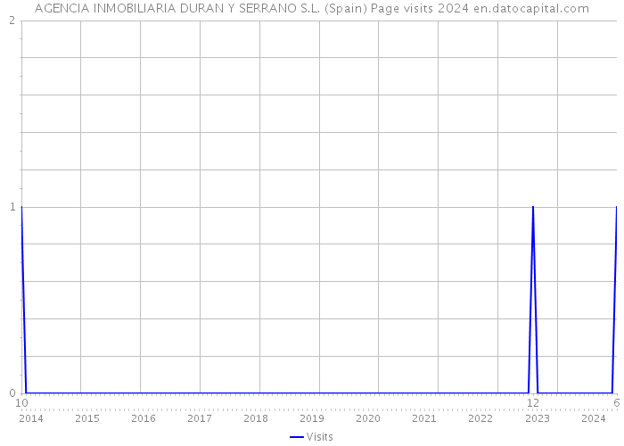 AGENCIA INMOBILIARIA DURAN Y SERRANO S.L. (Spain) Page visits 2024 