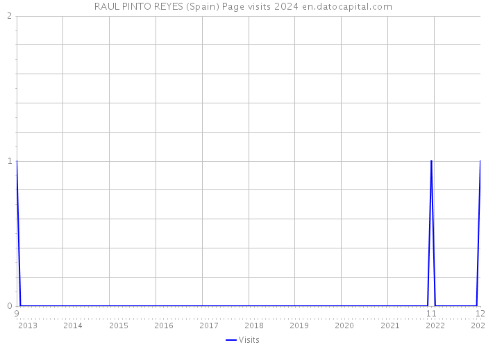 RAUL PINTO REYES (Spain) Page visits 2024 