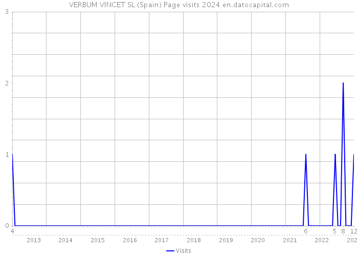 VERBUM VINCET SL (Spain) Page visits 2024 