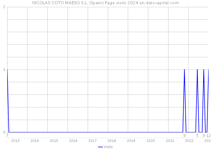 NICOLAS COTO MAESO S.L. (Spain) Page visits 2024 