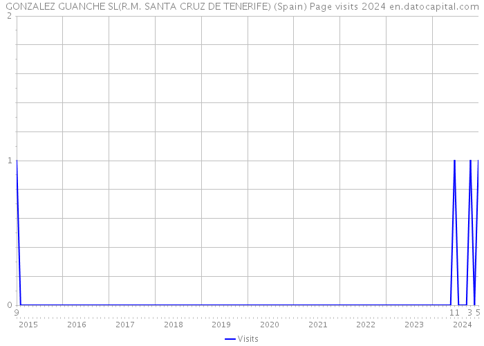 GONZALEZ GUANCHE SL(R.M. SANTA CRUZ DE TENERIFE) (Spain) Page visits 2024 