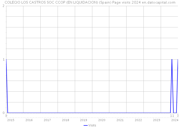 COLEGIO LOS CASTROS SOC CCOP (EN LIQUIDACION) (Spain) Page visits 2024 