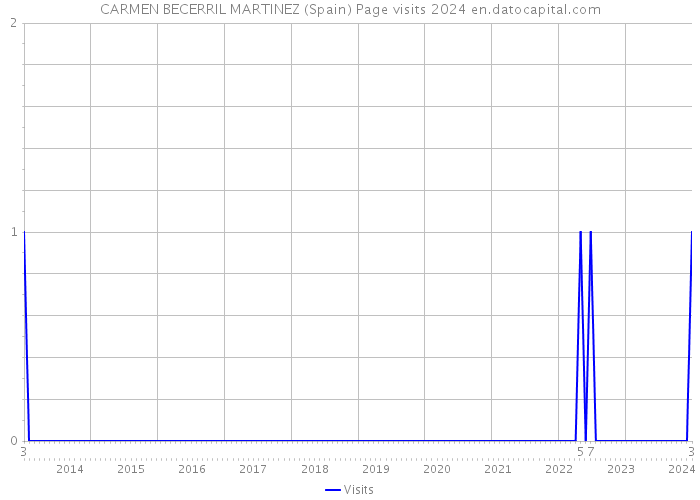 CARMEN BECERRIL MARTINEZ (Spain) Page visits 2024 