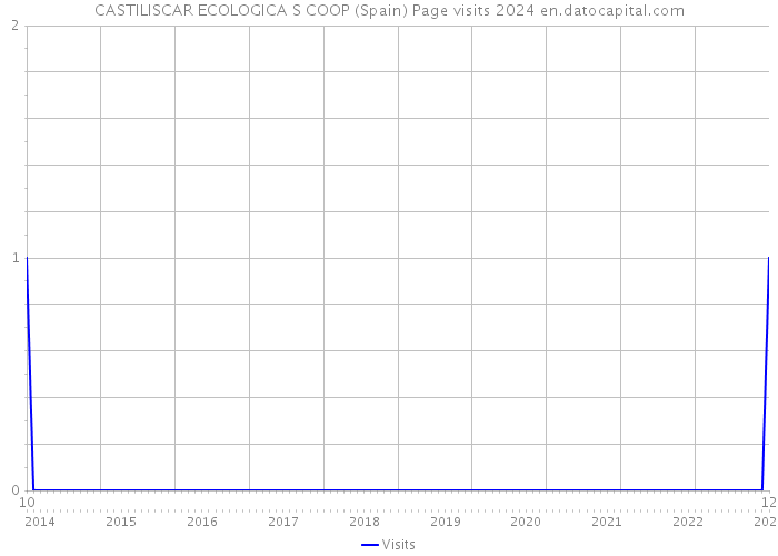 CASTILISCAR ECOLOGICA S COOP (Spain) Page visits 2024 