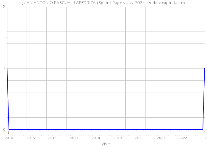JUAN ANTONIO PASCUAL LAPEDRIZA (Spain) Page visits 2024 