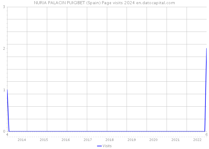 NURIA PALACIN PUIGIBET (Spain) Page visits 2024 