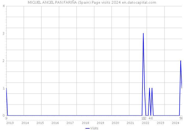 MIGUEL ANGEL PAN FARIÑA (Spain) Page visits 2024 