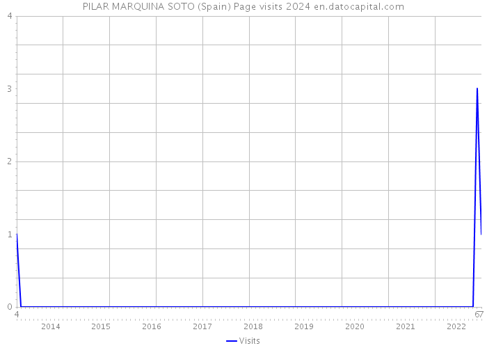 PILAR MARQUINA SOTO (Spain) Page visits 2024 