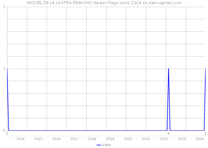 MIGUEL DE LA LASTRA PINACHO (Spain) Page visits 2024 