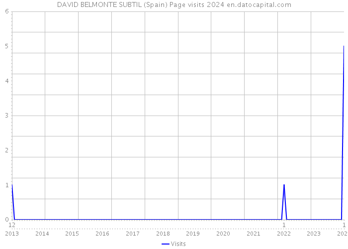 DAVID BELMONTE SUBTIL (Spain) Page visits 2024 