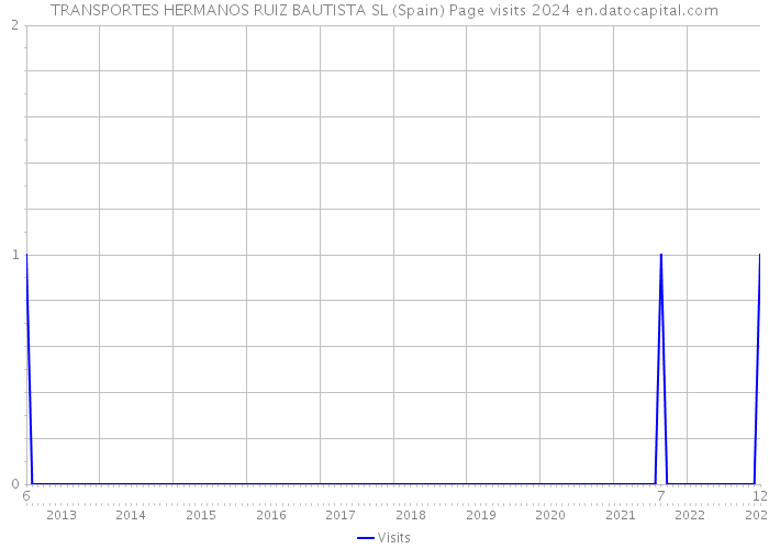 TRANSPORTES HERMANOS RUIZ BAUTISTA SL (Spain) Page visits 2024 