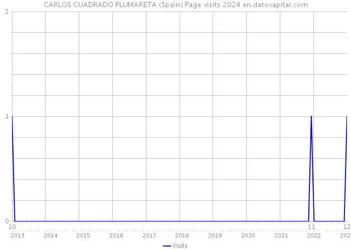 CARLOS CUADRADO PLUMARETA (Spain) Page visits 2024 
