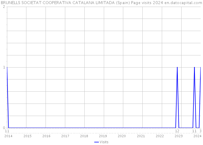 BRUNELLS SOCIETAT COOPERATIVA CATALANA LIMITADA (Spain) Page visits 2024 